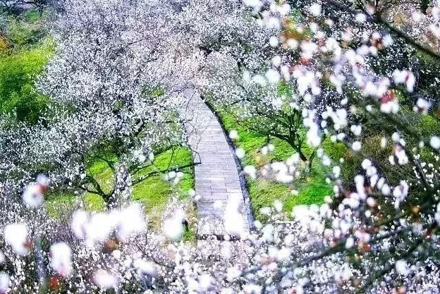 绍兴王坛东村