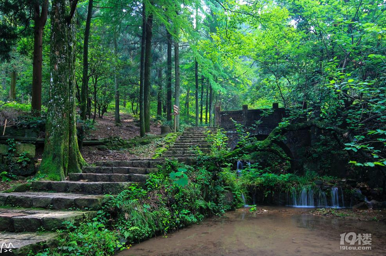 这周想去莫干山徒步，有人一起去吗?