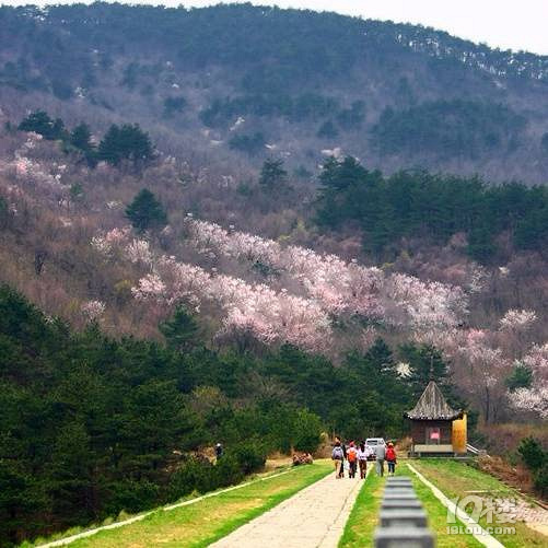 3-4月徒步吳越古道，穿越千傾關(guān)， 賞浙西天池風(fēng)光招募