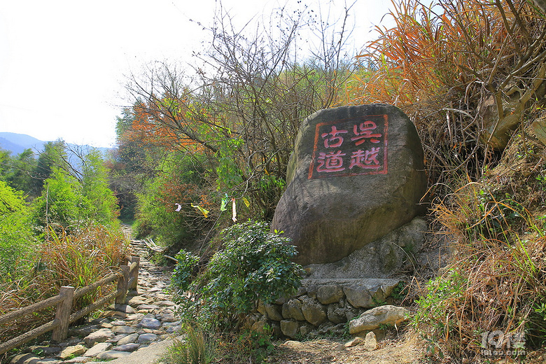 【春游記】+【吳越古道】——櫻花爛漫幾多時