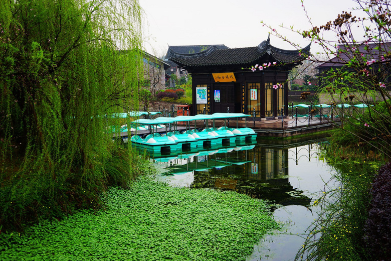 绍兴镜湖湿地公园