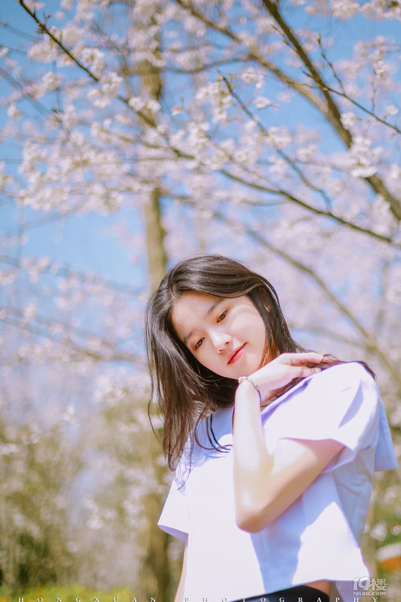 笑靨如櫻花