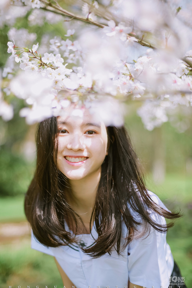 笑靨如櫻花