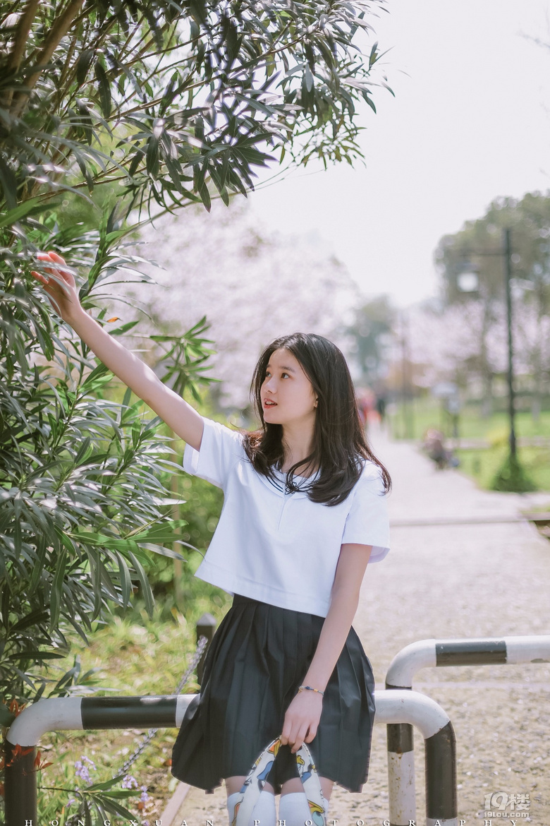 笑靨如櫻花