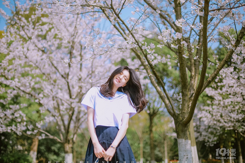 笑靨如櫻花