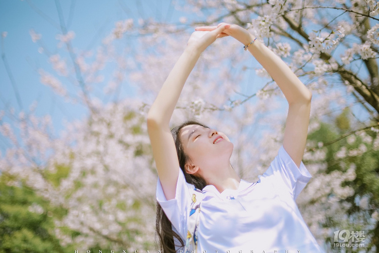笑靨如櫻花