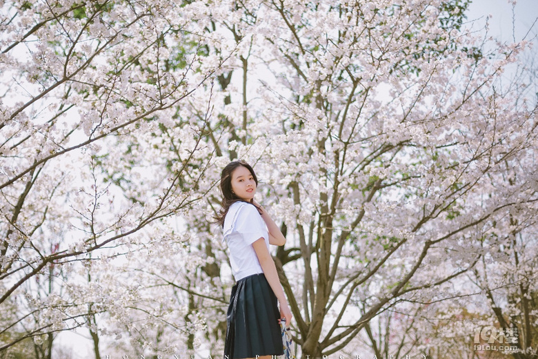 笑靨如櫻花