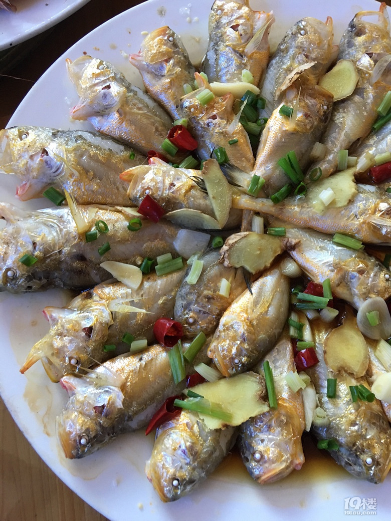 梅童鱼!个头不大，却是海鲜中的“高富帅”