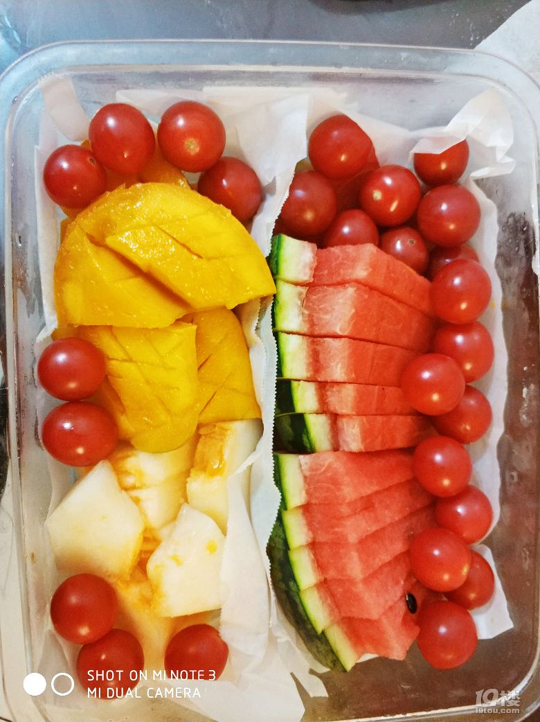 真是適合野餐的季節(jié)