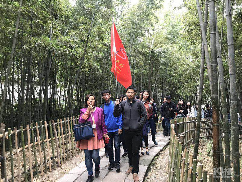 水鄉(xiāng)一夢人間最美四月天，烏鎮(zhèn)賞花（4-5月）招募活動