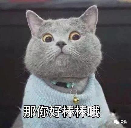 ؈t(y)Ҫݑ@Щ؈ūǑ򾫌W(xu)ԺI(y)İ