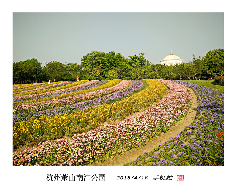 萧山南江公园-手机拍  2018-4-18