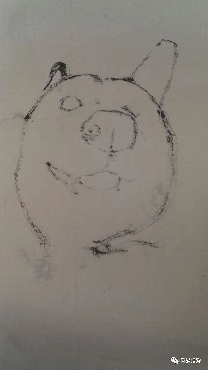 二哈可能怎么也不會(huì)想到，自己終有一天，會(huì)因?yàn)閲?guó)粹而出名