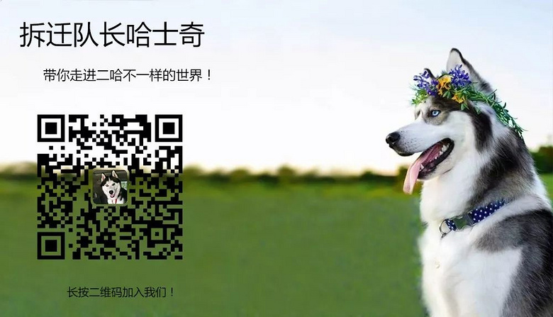ʿȥ@棬żһֻɽ@؛ȥǸ