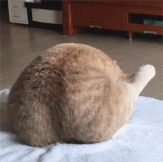 ؈ゃeٳԴu˺