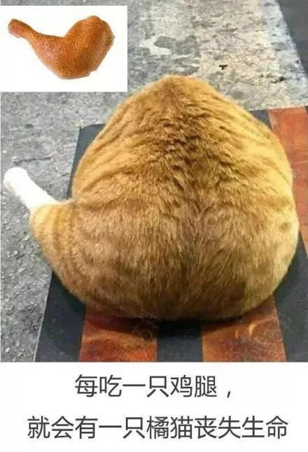 ؈ゃeٳԴu˺