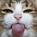 xµĘ،H