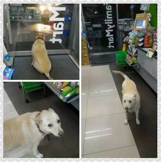 Լҹÿ(hu)׸c؁ԣһ·֪ۙ
