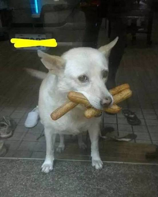 Լҹÿ(hu)׸c؁һ·֪ۙ