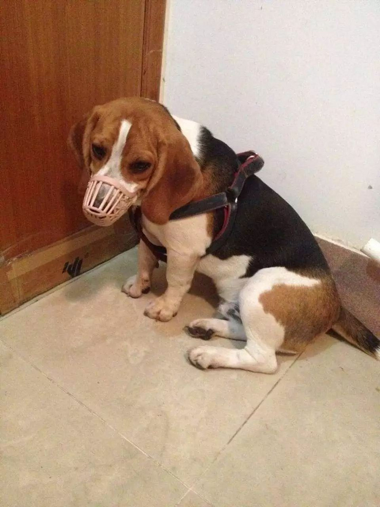 ֻŮѲϲgԼĹһ(g)شQ