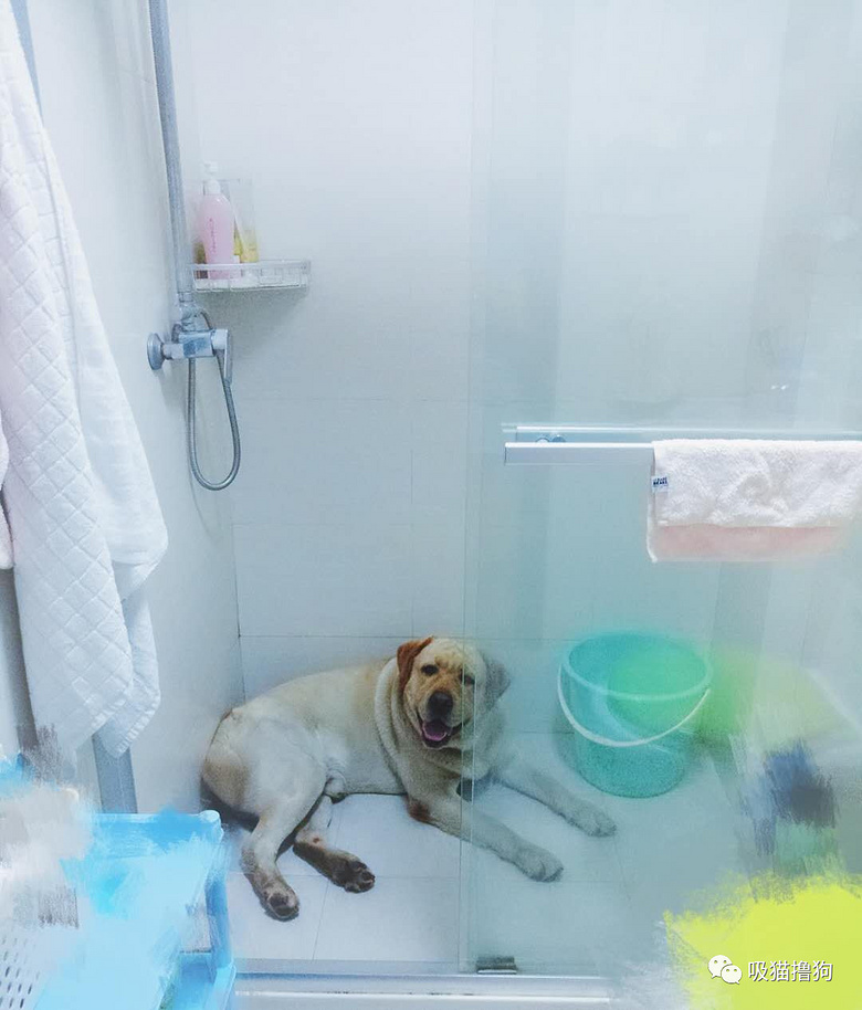 젔ǲҼҹ