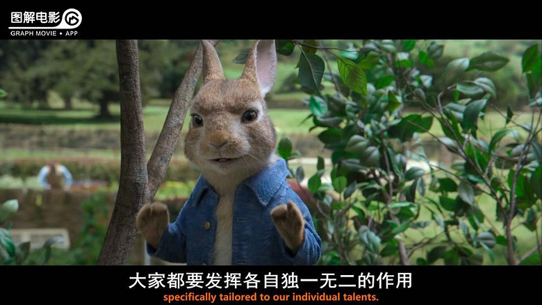 图解电影《比得兔》可爱又.