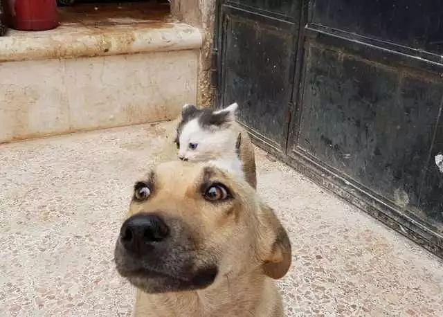 ˹ĺȫزÿ챯ֱС؈ſڱЦ