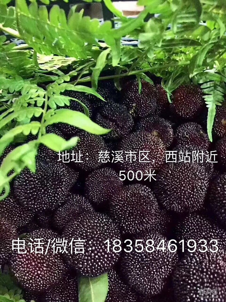 ĩȥăϪժ÷