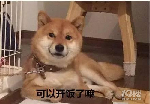 【征集】它承包了我所有的表情包！