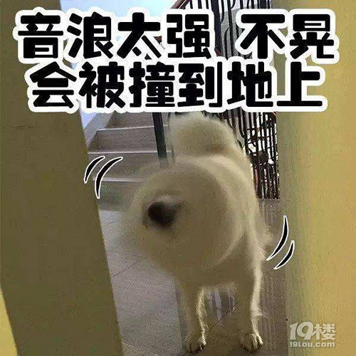 【征集】它承包了我所有的表情包！