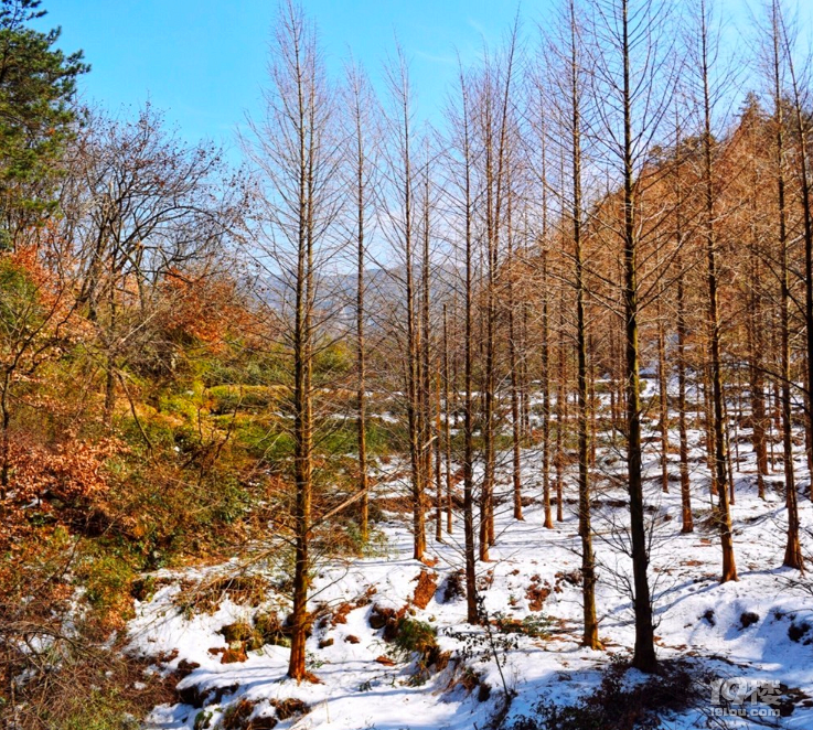 神奇靈秀地、大愿九華山，九華山前后山大穿越