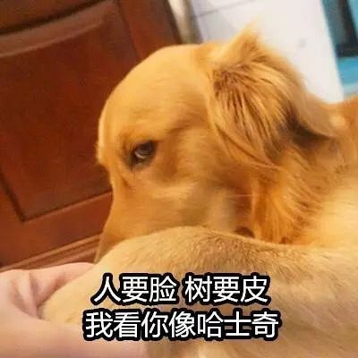 cӵĴͷ܇F(xin)ܕЦiС