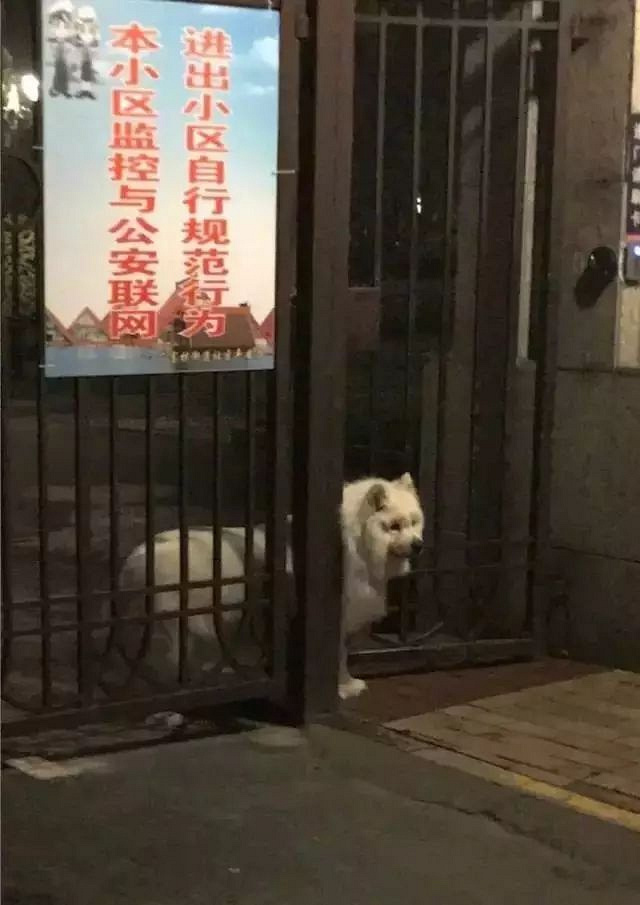 ˲СČԼi⣬Y(ji)߀ùڼ