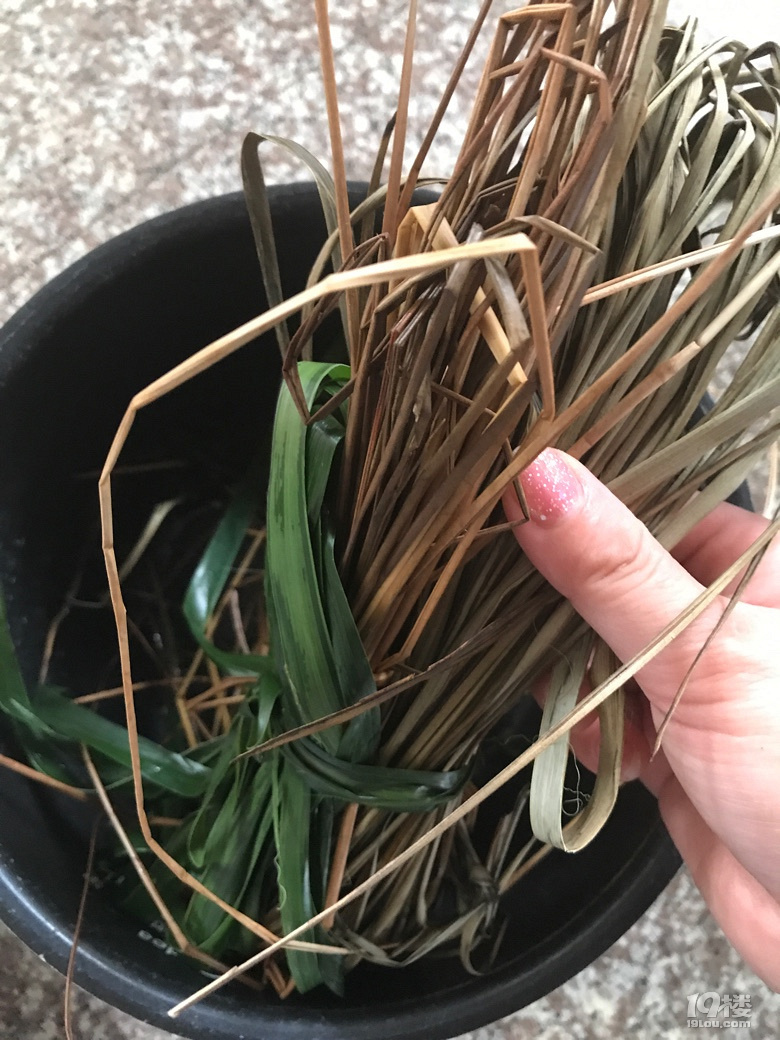 【曬粽子】什么都在變唯獨(dú)吃粽子沒變 端午到了來曬粽子
