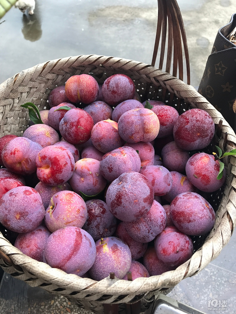 @ôóԵζ]