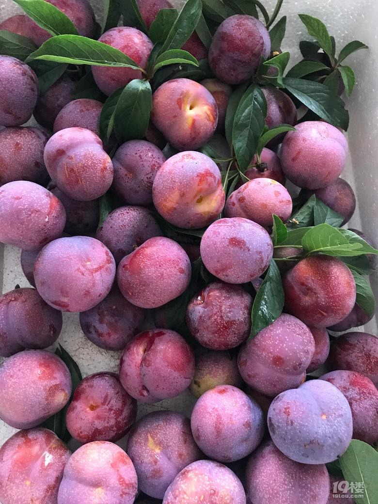 @ôóԵζ]
