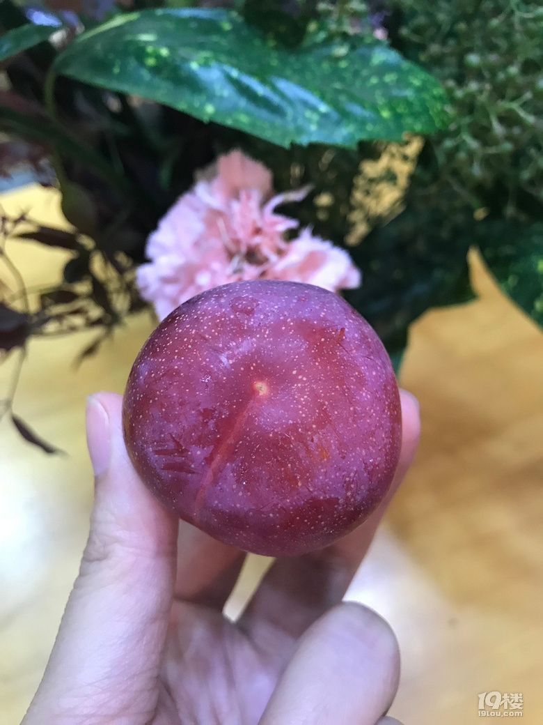 @ôóԵζ]