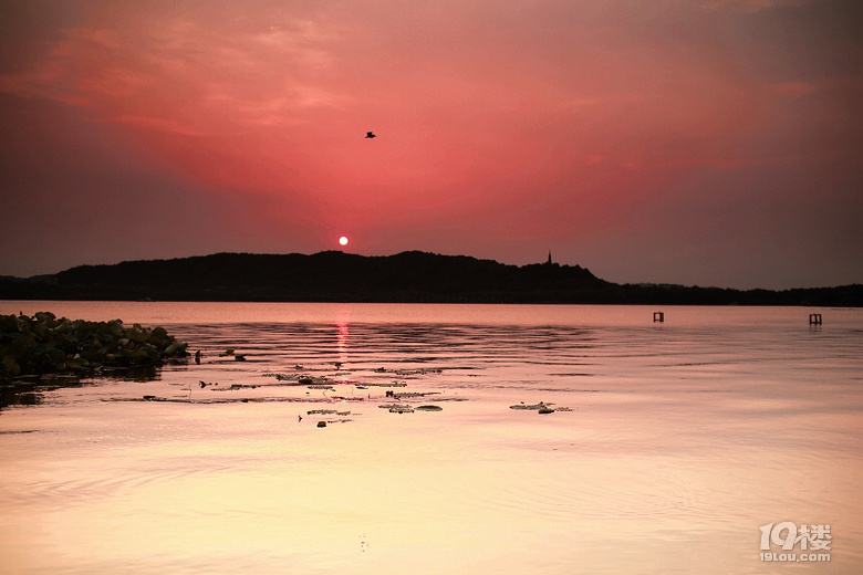 最喜湖東游不足，長橋聚賢看夕陽