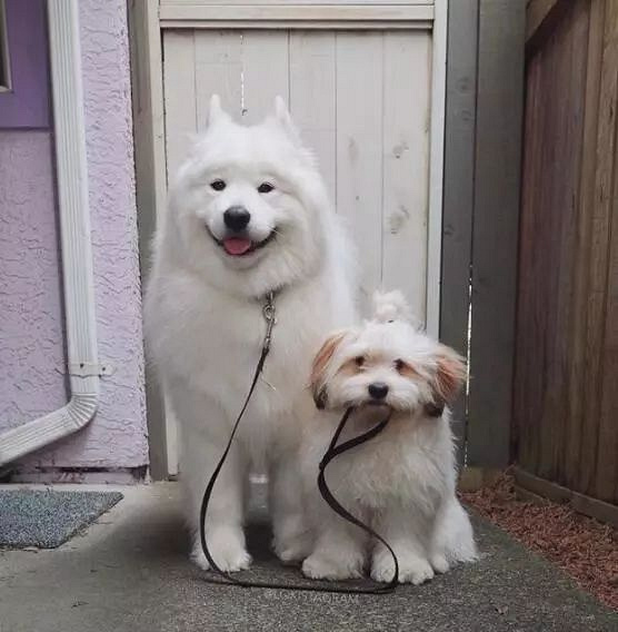 ѺȻǰʧԭأȥˣ