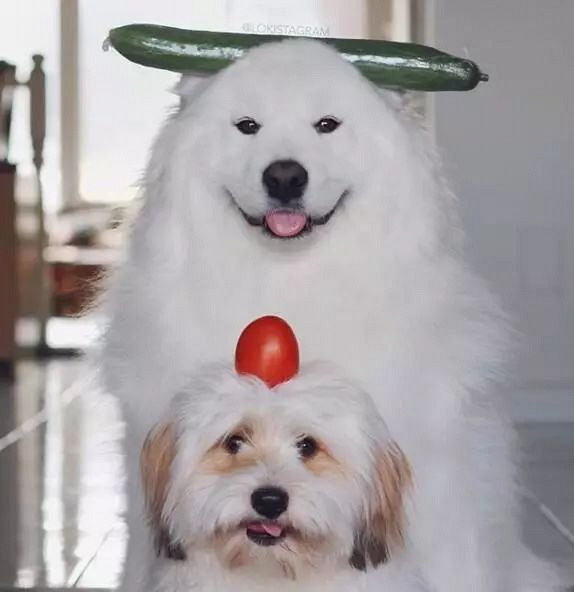 ѺȻǰʧԭأȥ