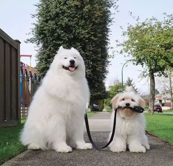 ѺȻǰʧԭأȥ