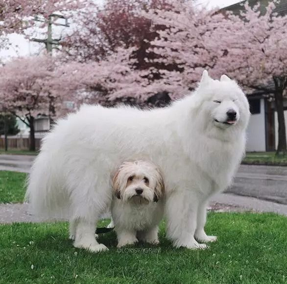 ѺȻǰʧԭأȥˣ