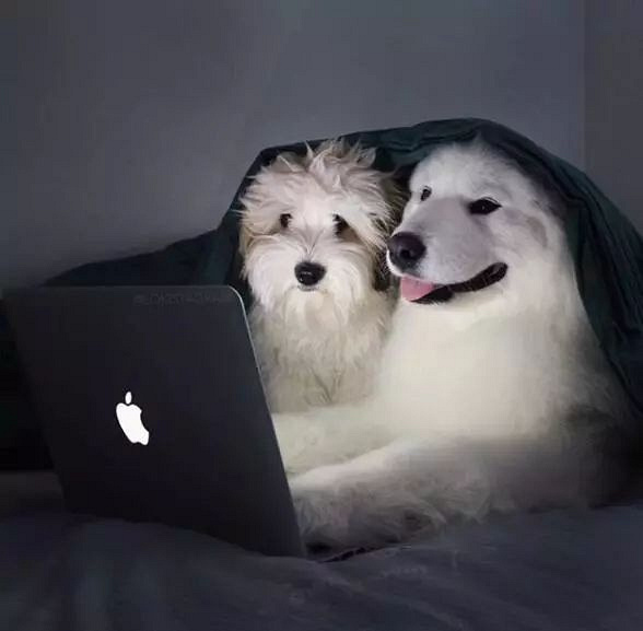 ѺȻǰʧԭأȥˣ