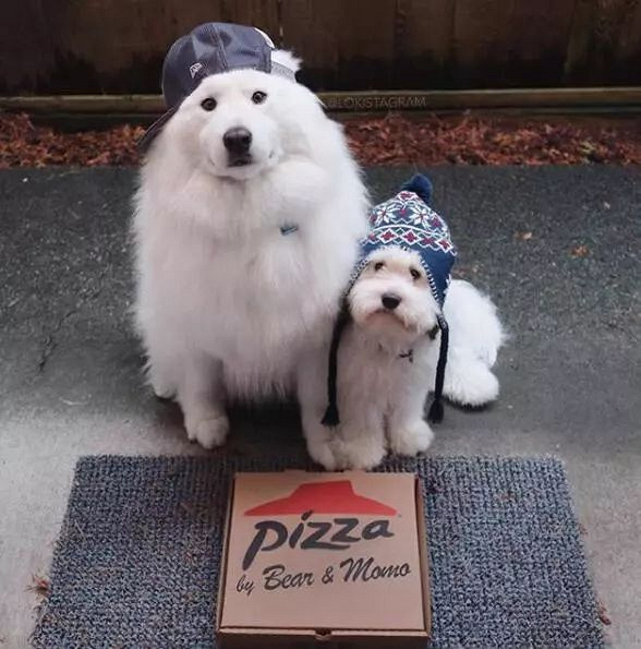 ѺȻǰʧԭأȥˣ