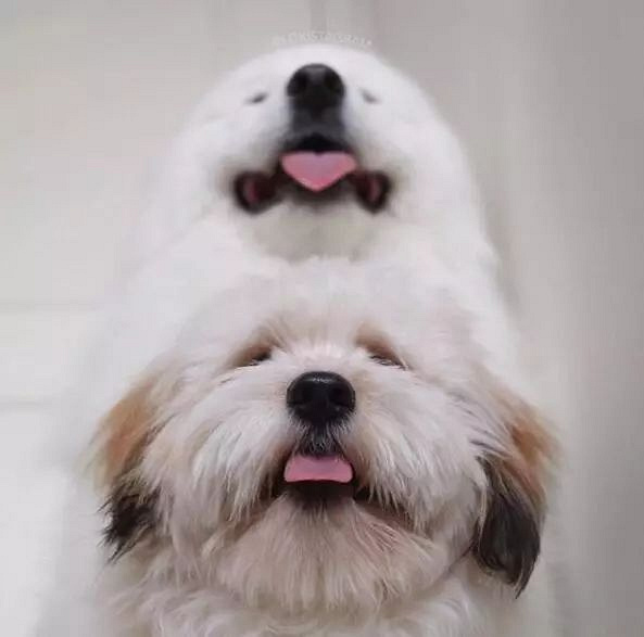 ѺȻǰʧԭأȥ