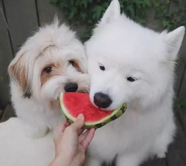 ѺȻǰʧԭأȥˣ