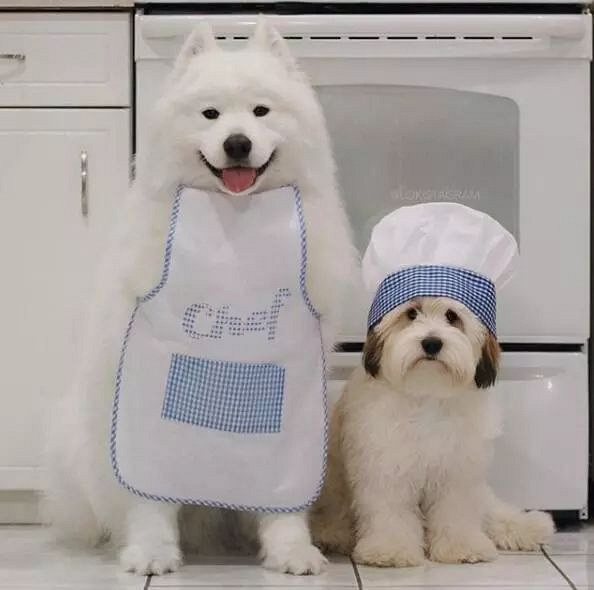 ѺȻǰʧԭأȥ