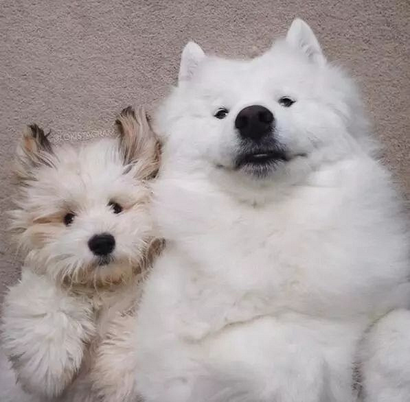 ѺȻǰʧԭأȥˣ