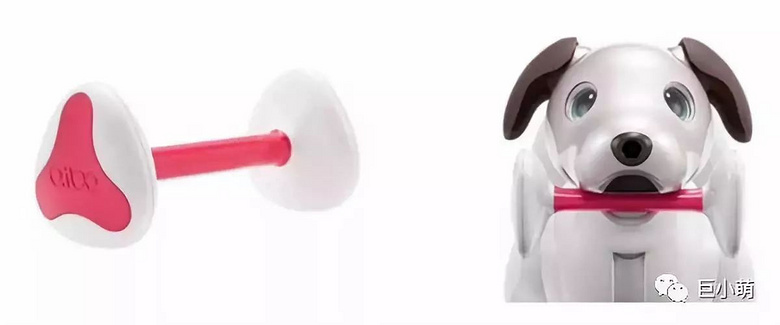 新手适合养什么狗?这只炒到3万元的了解一下