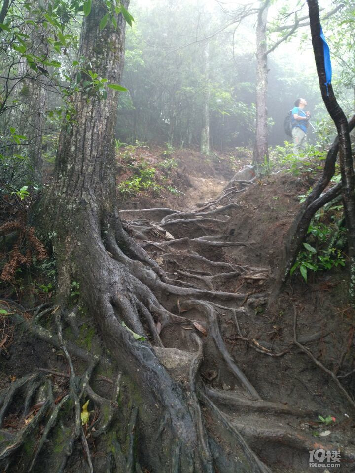 漫行碎記“武功山”
